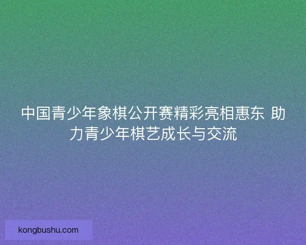 中国青少年象棋公开赛精彩亮相惠东 助力青少年棋艺成长与交流